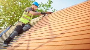 Best Roof Moss and Algae Removal  in Deer Park, NY